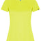 Fluor Yellow 221