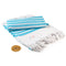 White/Aqua Blue