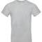 Pacific Grey