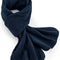 French Navy