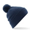 French Navy