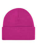 Festival Fuchsia