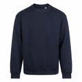 New French Navy
