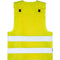 Signal Yellow