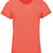 Pop Orange
