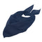 French Navy
