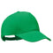 Bud Green