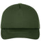 Dark Olive