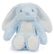 Blue Bunny