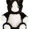 Cat Black-White