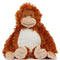 Orang-Utan