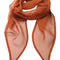 Chestnut (ca. Pantone 7525C)