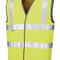 Fluorescent Yellow