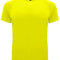 Fluor Yellow 221