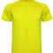 Fluor Yellow 221