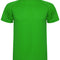 Fern Green 226