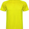 Fluor Yellow 221