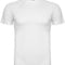 White 01