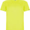 Fluor Yellow 221