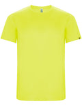 Fluor Yellow 221