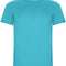 Turquoise 12