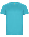 Turquoise 12