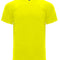 Fluor Yellow 221