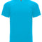 Turquoise 12