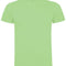Oasis Green 114