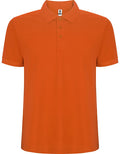 Orange 31