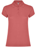 Chrysanthemum Red 26