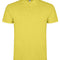 Amarillo Maiz 163