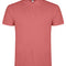 Chrysanthemum Red 26