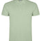 Mist Green 264