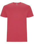 Chrysanthemum Red 26