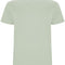 Mist Green 264