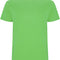 Oasis Green 114