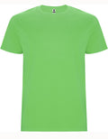 Oasis Green 114