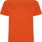 Orange 31