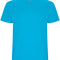 Turquoise 12