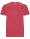Chrysanthemum Red 26