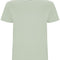 Mist Green 264