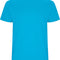 Turquoise 12