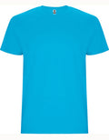 Turquoise 12