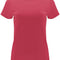 Chrysanthemum Red 26
