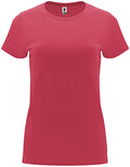 Chrysanthemum Red 26