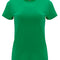 Kelly Green 20