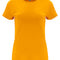 Orange 31