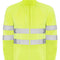 Fluor Yellow 221