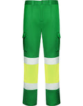 Garden Green 52 / Fluor Yellow 221